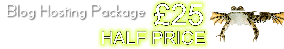 Half Price Blog Hosting